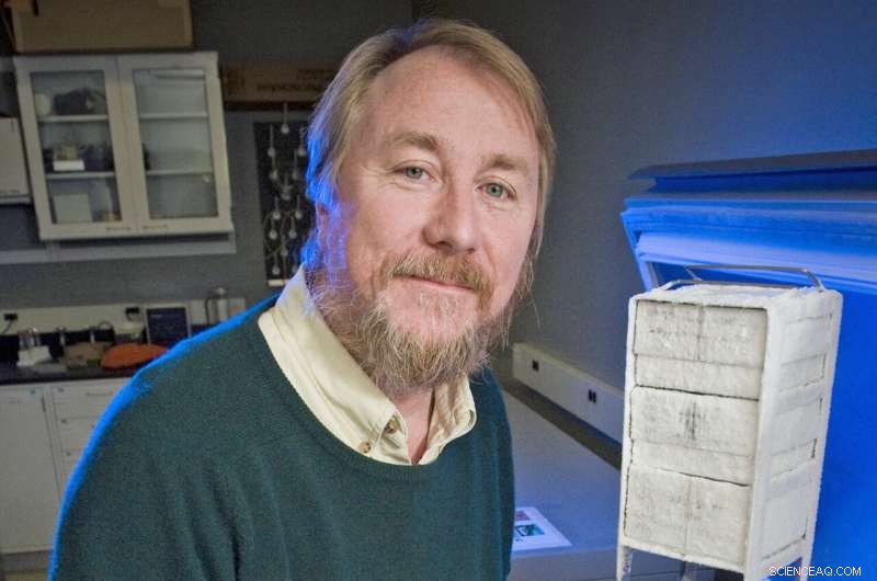 MSU’s Long‑Term Evolution Experiment Hits 75,000 Generations, Entering a New Era