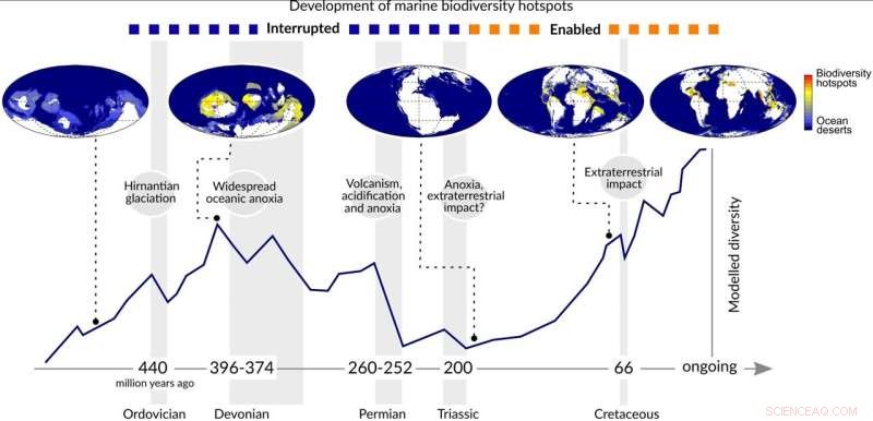 Long-Term Environmental Stability Drives Peak Marine Biodiversity, Study Finds