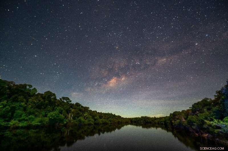 Urgent Quest: Cataloging Brazil s Amazon Species Before They Vanish