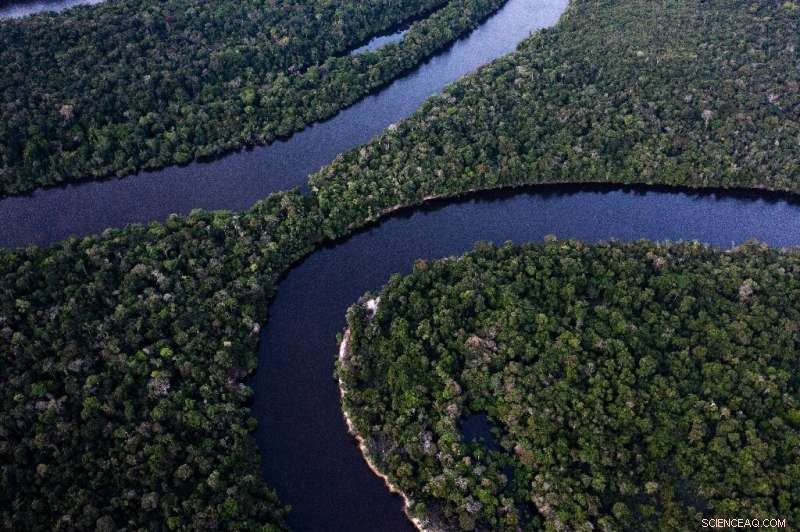 Urgent Quest: Cataloging Brazil s Amazon Species Before They Vanish