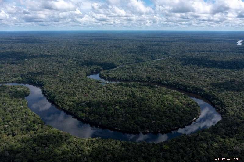 Urgent Quest: Cataloging Brazil s Amazon Species Before They Vanish