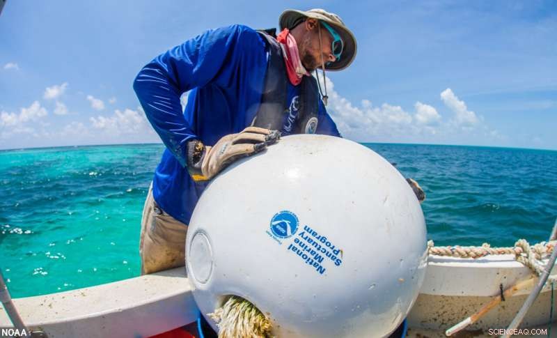 NOAA Unveils Anchor-Free Plan to Protect Florida Keys Marine Habitats