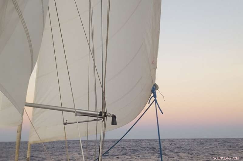 Yacht Crew Witnesses Rare Bioluminescent Milky Sea Off Java, Indonesia