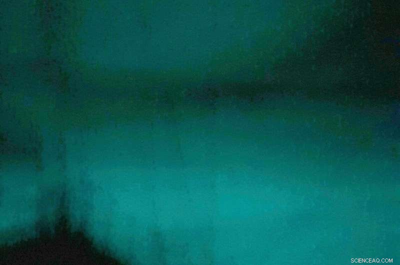 Yacht Crew Witnesses Rare Bioluminescent Milky Sea Off Java, Indonesia
