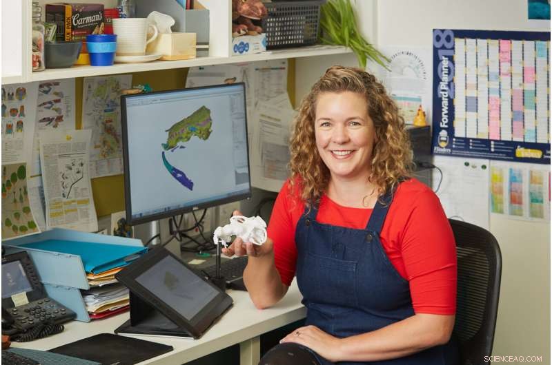 Unveiling Ancient Lungfish Brains: New Fossil Discoveries Illuminate Early Vertebrate Evolution