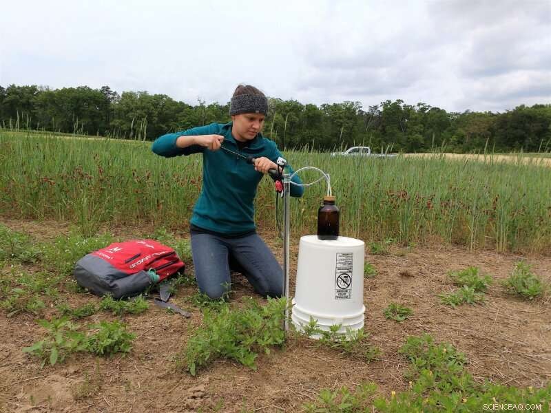 Cover Crops: A Proven Strategy to Protect the Chesapeake Bay