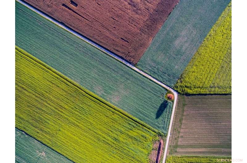 Soil Quality Key to Protect US Crops from Climate‑Induced Heat Stress