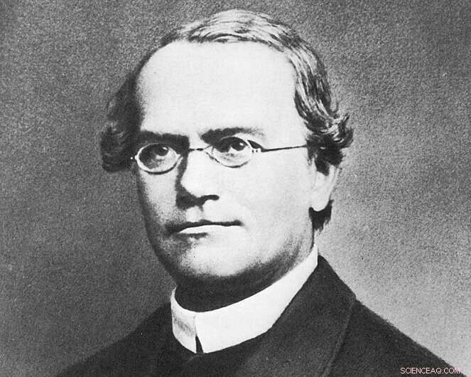 Mendel’s Early Laws of Inheritance: Evidence He Was Decades Ahead of His Time