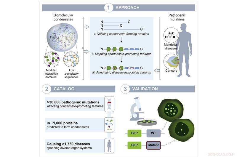 Protein Assembly: An Overlooked Key to Disease Mechanisms