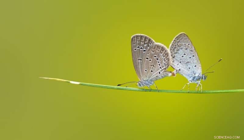 New Study Shows Global Warming May Benefit Animal Reproduction, Challenging Prevailing Concerns