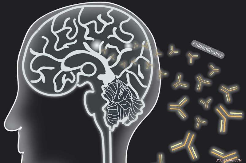 First High-Resolution Images Reveal Antibody Binding to GABA_A Receptor in Autoimmune Encephalitis