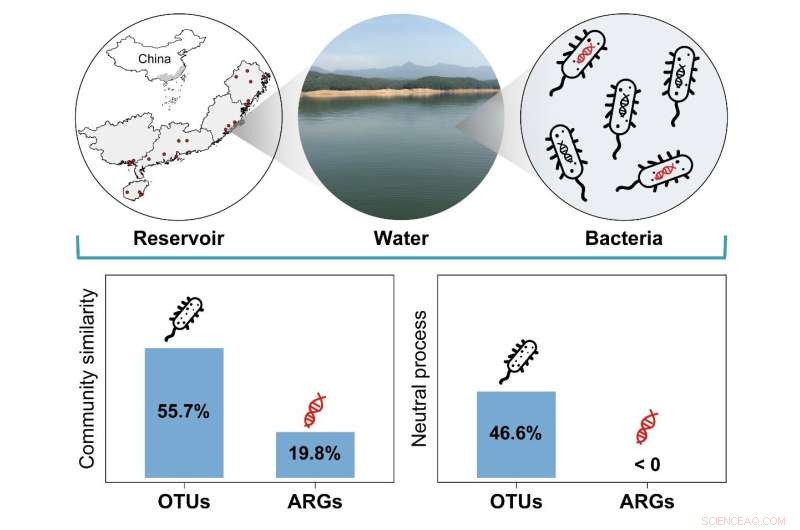 Mapping Bacterial Communities and Antibiotic Resistance in Southeast China’s Inland Waters