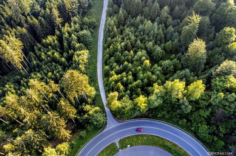 Global Breakthrough: First Comprehensive Guidelines to Assign Value to Nature Approved