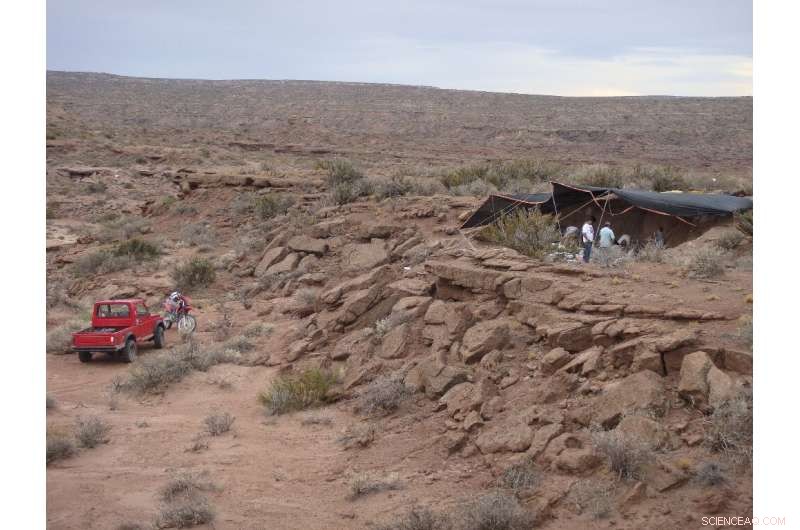 New Giant Predator  Meraxes  with Tiny Arms Discovered in Patagonia