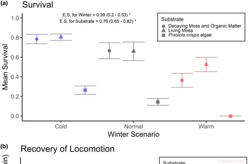 Global Warming Threatens Antarctica s Sole Insect: Simulation Findings