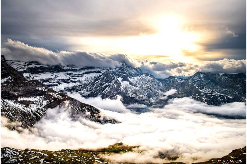 Scientists Identify Over 1,500 Genes Driving Insect Migration