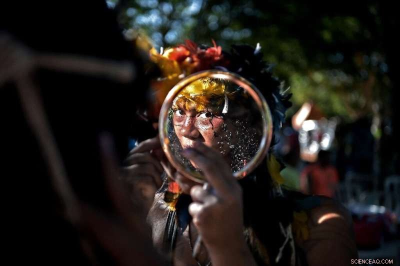 Billions Depend on Wild Species for Food, Fuel, Income – UN Urges Sustainable Use