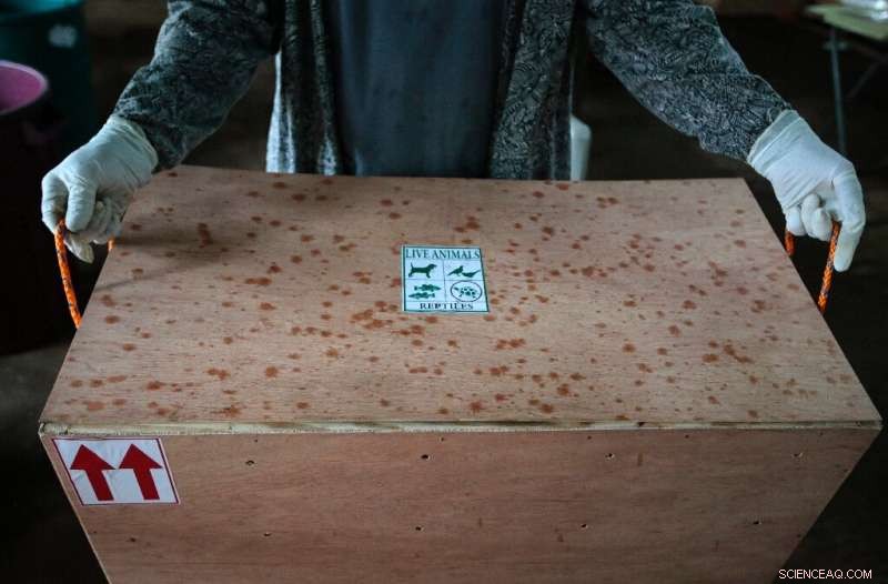 Exporting Exotic Pets: Nicaragua s Journey of Frogs & Spiders to the U.S.