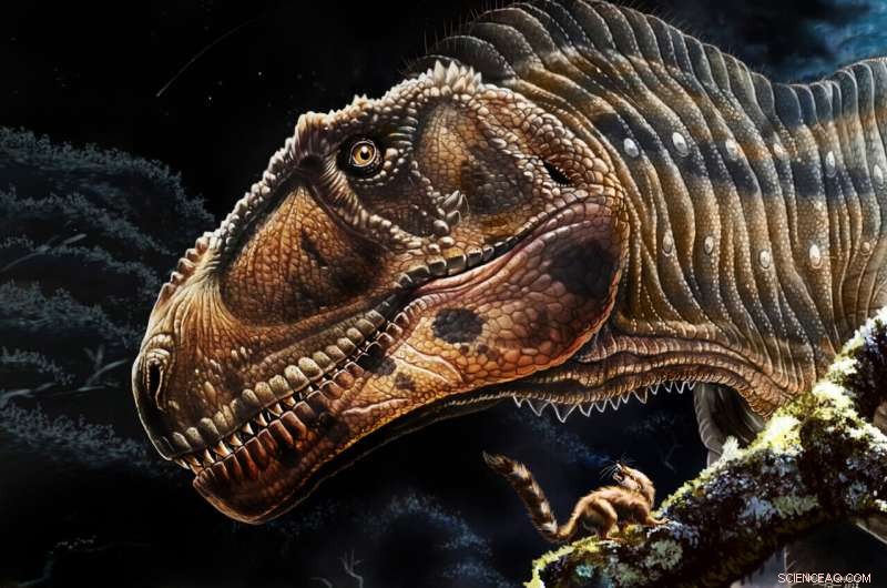 Scientists Unveil Meraxes gigas: A Giant Predator with Tiny Arms, Echoing T. rex