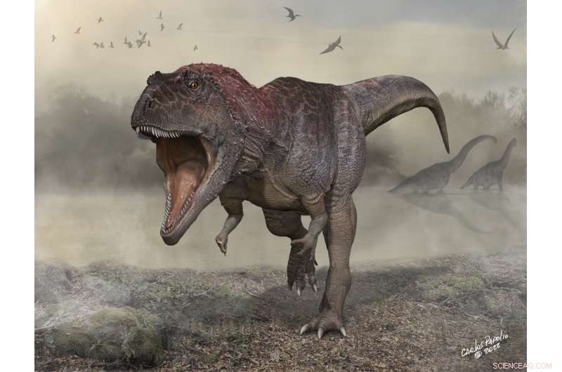 Scientists Unveil Meraxes gigas: A Giant Predator with Tiny Arms, Echoing T. rex