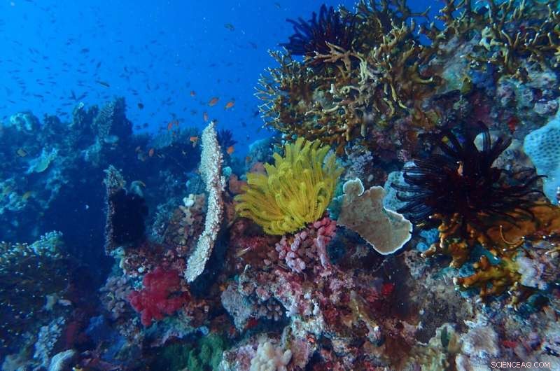 Top 15 Emerging Threats to Ocean Biodiversity: Expert Forecasts for the Next Decade