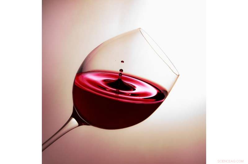 Climate Change Boosts UK Wine Production, Study Finds