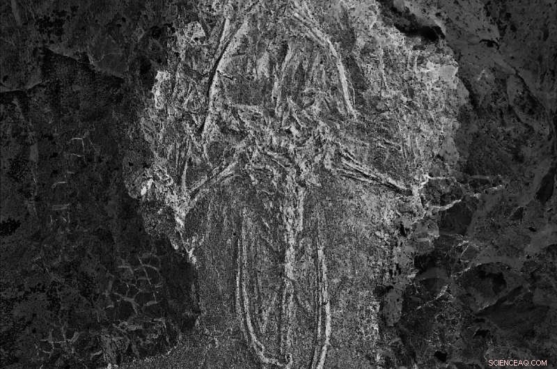 Scientists Discover Ancient Swamp as Mating Death Trap for Fossil Frogs