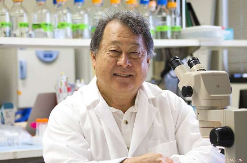 Groundbreaking Study Challenges Conventional Wisdom on Limb Regeneration