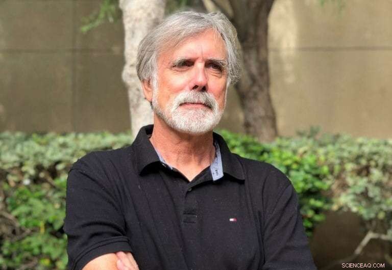 Algorithmic Forgetting Unveils Key Insights into Human Learning