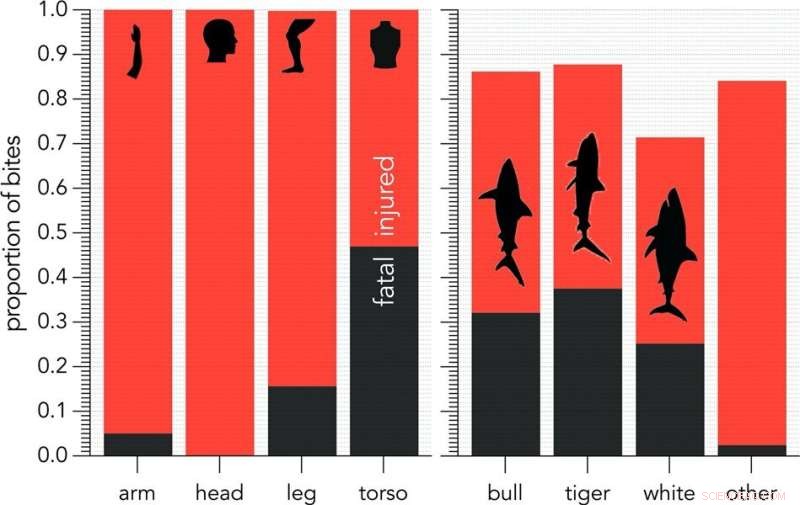 New Historical Dataset Enhances Understanding of Shark-Human Interactions