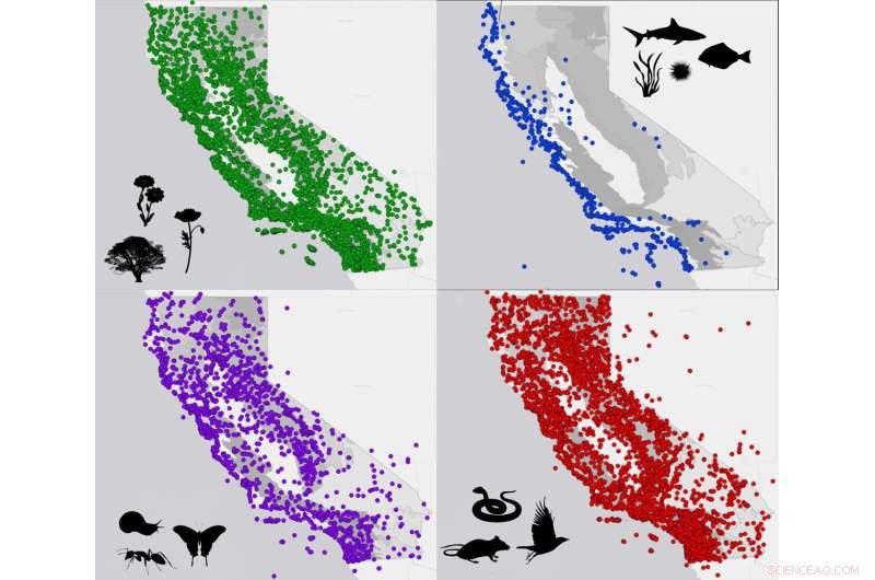 Mapping California’s Biodiversity: A Genomics Initiative for Long‑Term Conservation