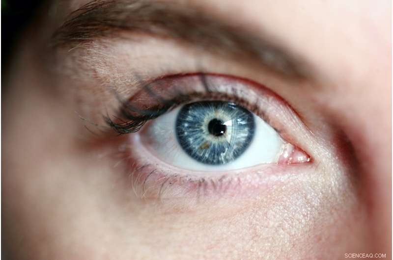 Scientists Identify Genes Key to Vision Health
