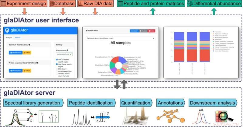 New Open-Source Tool Enhances Microbiota Functionality Analysis via DIA Metaproteomics