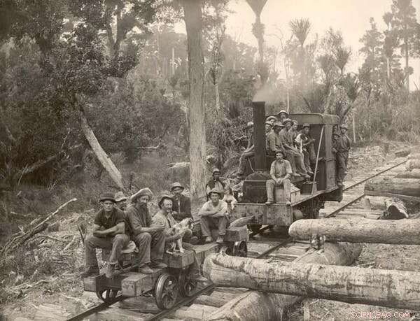 New Zealand Reassesses Colonial Legacy: Facing the Environmental Impact of European Settlement