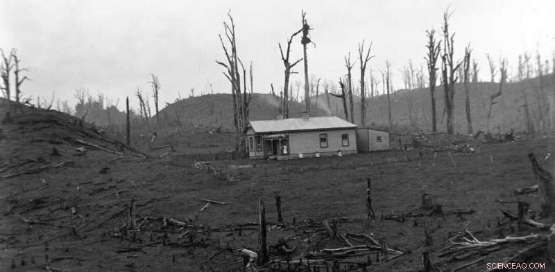 New Zealand Reassesses Colonial Legacy: Facing the Environmental Impact of European Settlement