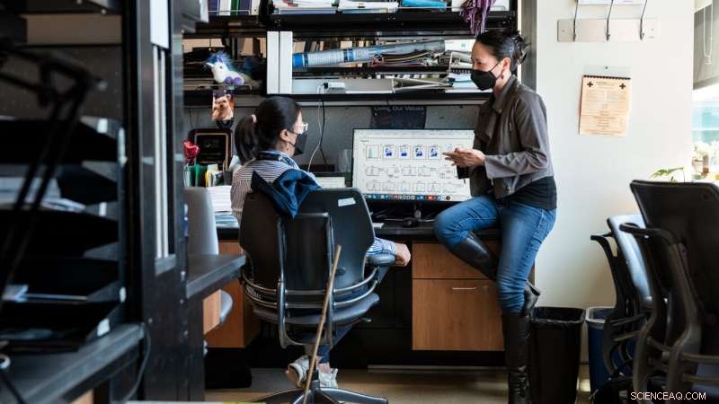 Scientists Unveil Fresh Insights into HIV Infection by Mapping Cell Surface Sugars