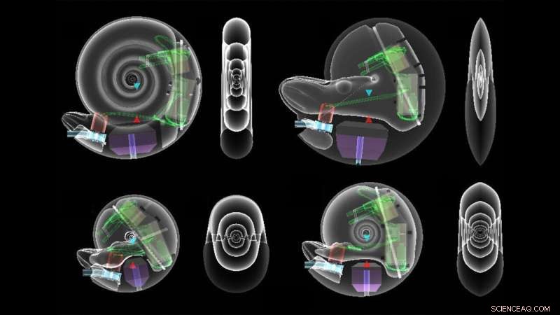 Robotic Ammonites Mimic Ancient Marine Creatures to Uncover Swimming Mechanics
