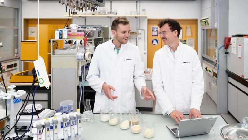 Algae-Prawn Innovation: A Sustainable Seafood Choice for Marine Conservation