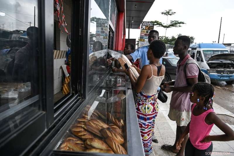 Ivory Coast Adopts Cassava Bread as Wheat Prices Soar
