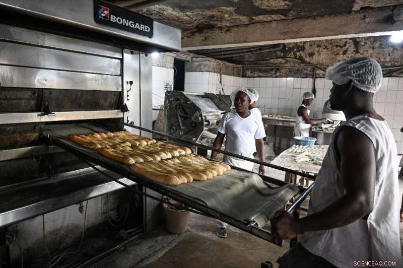 Ivory Coast Adopts Cassava Bread as Wheat Prices Soar