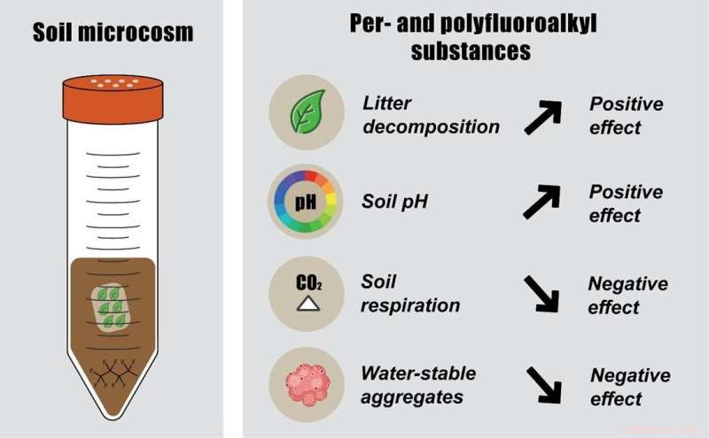 How PFAS Forever Chemicals Alter Soil Structure and Microbial Health