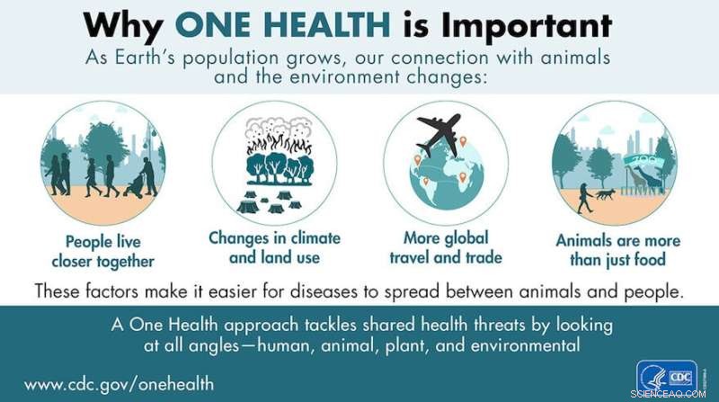 Avian Influenza: Historical Insights, Current Threats, and Future Outlook