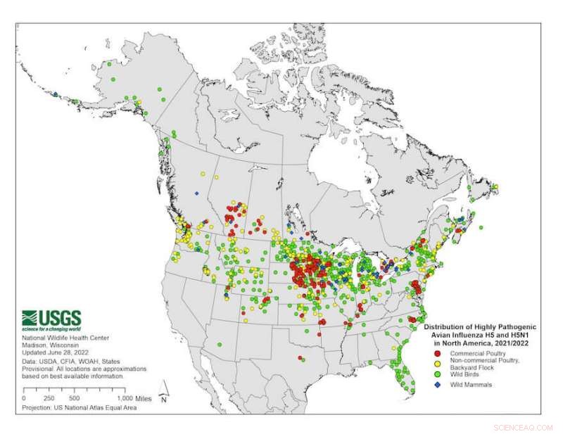 Avian Influenza: Historical Insights, Current Threats, and Future Outlook