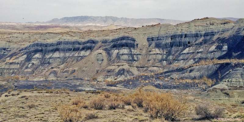 New Study Reveals Dinosaurs Thrived in Cold, Not Warm, During Triassic-Jurassic Extinction