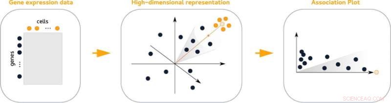 Identifying Marker Genes in Cell Clusters: A Comprehensive Guide