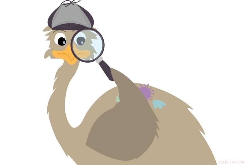 Emu: A Gene‑Based Tool for Precise Microbial Community Profiling