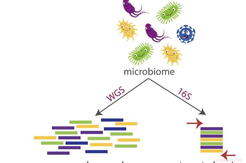 Emu: A Gene‑Based Tool for Precise Microbial Community Profiling