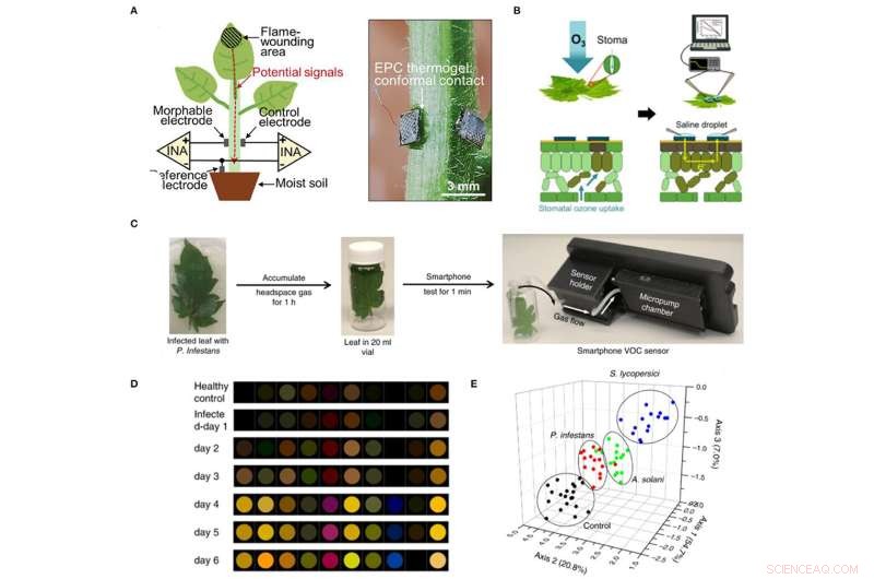 Harnessing Non‑Destructive Sensors for Food Security and Sustainable Agriculture
