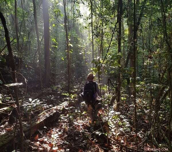 Unveiling Amazonian Biodiversity: How Cutting‑Edge Technology Reveals Hidden Secrets