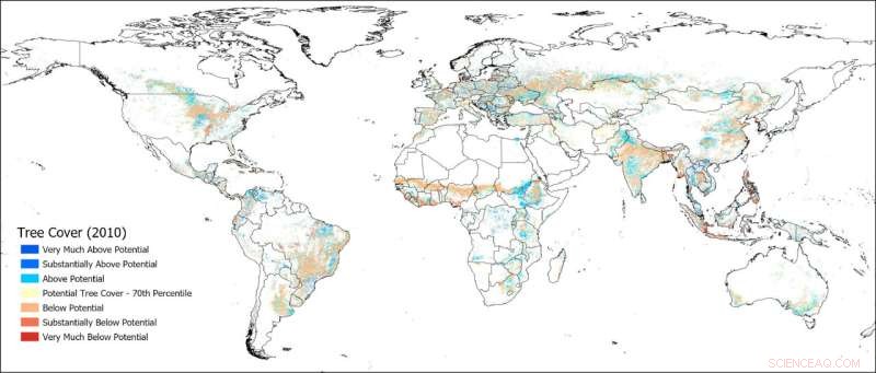 Agroforestry & Farm Trees: Unlocking Carbon Capture Potential